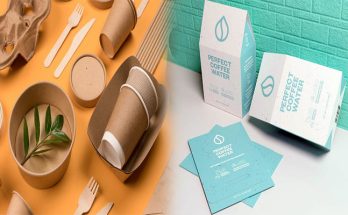 Top Features to Include in a Food Packaging Design Website for Client Engagement